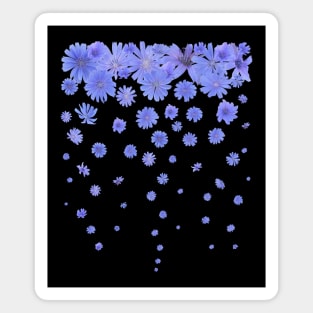 Blue Chicory Flowers Rain Magnet